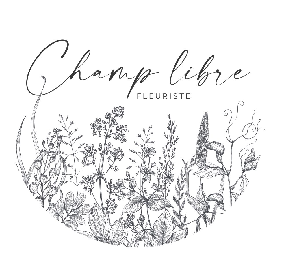 logo Champ Libre